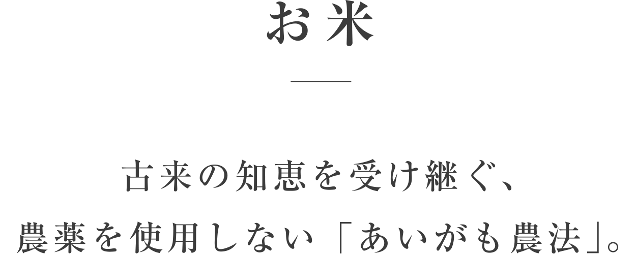 お米／古来の知恵を受け継ぐ、農薬を使用しない「あいがも農法」。