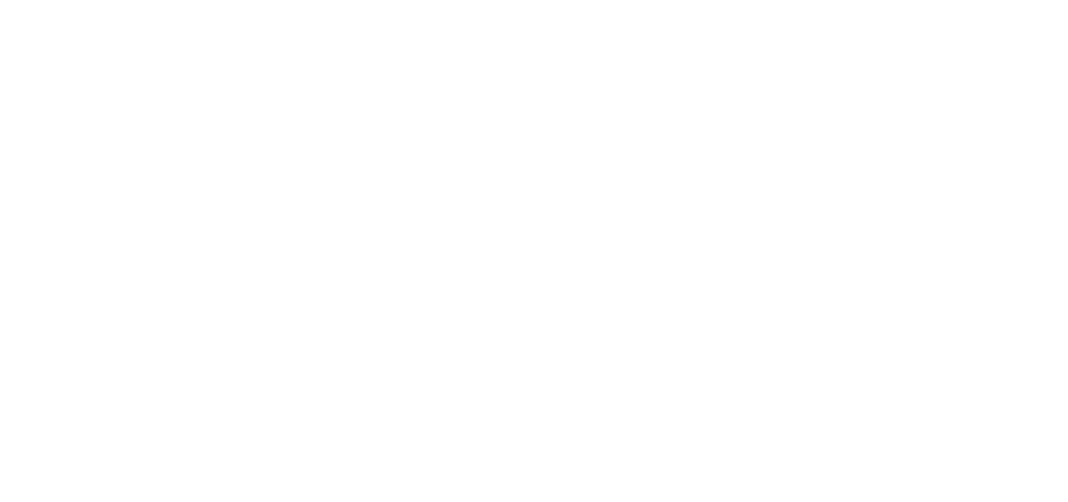 カレーリーフ／4年かけて栽培に成功した「カレーリーフ」。